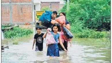 Photo of सितंबर में अमित शाह, जेपी नड्डा समेत कई BJP नेता कर सकते है बिहार दौरा