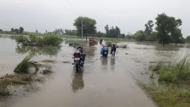 Photo of उत्तर प्रदेश के गोंडा जिले में नदियों ने दिखाया अपना रौद्र रूप, कहीं रोड तो कही गांवों के घरों में घुसा पानी