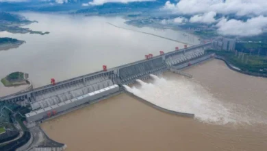 Photo of इन नदियों पर एक्शन का सरकार बना रही प्लान, पढ़े पूरी ख़बर
