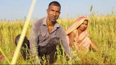 Photo of प्रधानमंत्री किसान सम्मान निधि योजना की 12वीं किस्त  का इंतजार कर रहे लाभार्थियों के लिए अच्छी खबर