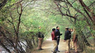 Photo of उत्तर प्रदेश वन दरोगा भर्ती के लिए आवेदन प्रक्रिया शुरु, करे इस दिन से अप्लाई