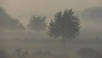 Photo of बिहार में बढ़ता जा रहा प्रदूषण, कई शहरों की हवा बहुत खराब श्रेणी में