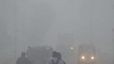 Photo of बीते दस वर्षों में सबसे कम ठंड वाला साबित हो रहा दिसंबर