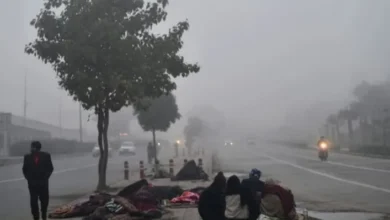 Photo of मौसम विभाग ने मैदानी इलाकों में घने कोहरे पर ज़ारी किया येलाे अलर्ट,पढ़े पूरी ख़बर  
