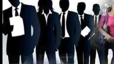 Photo of यूपी के 13 जिलों में जल्द ही मिल्मे जा रहा हजारों लोगों को रोजगार का अवसर, जानें पूरी ख़बर