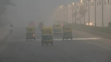 Photo of ठंड और घने कोहरे ने आम जनजीवन को किया अस्‍त-व्‍यस्‍त, सड़क, रेल और हवाई यातायात हुए प्रभावित