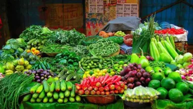 Photo of ठंड के वजह से बिहार में महंगी हुई सब्जियां व मजदूरों को नहीं मिल रहा काम…