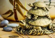 Photo of जानें भाग्य और समृद्धि के लिए फेंगशुई आइटम-