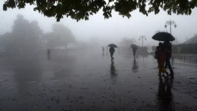 Photo of पश्चिमी हिमालयी क्षेत्र और उत्तर-पश्चिम भारत के मैदानी इलाकों में मौसम विभाग ने जारी किया बारिश का अलर्ट…