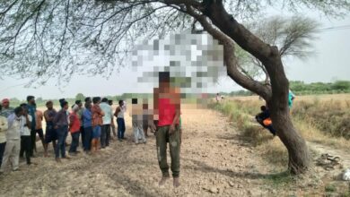 Photo of दरियापुर गांव के बाहर कटहल के पेड़ पर शख्स का शव फंदे पर लटकता हुआ मिला..