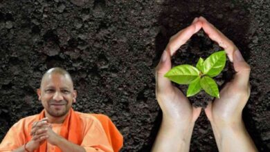 Photo of सीएम योगी आदित्‍यनाथ ने वृहद पौधरोपण अभियान के तहत 35 करोड़ पौधे लगाए जाने का रखा लक्ष्‍य, जानें अन्य ख़बरें ..