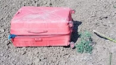 Photo of बलिया: हाईवे किनारे सूटकेस में मिली टुकड़ों में किशोरी की लाश