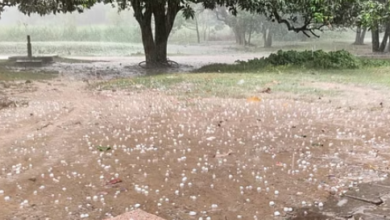 Photo of यूपी: मौसम विभाग ने की आने वाले दिनों के लिए भविष्यवाणी