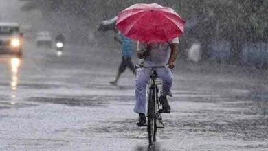 Photo of IMD ने येलो अलर्ट जारी किया