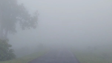 Photo of यूपी मोसम :शीतलहर और घने कोहरे की चपेट में उत्तर भारत