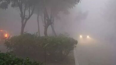 Photo of ठंड और कोहरे की चपेट में उत्तर भारत
