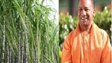 Photo of योगी सरकार गन्ना किसानों को देगी बड़ी सौगात