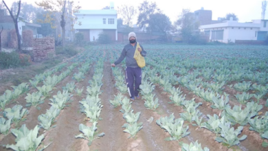 Photo of सहकारी समितियां किसानों से कराएंगी व्यावसायिक खेती-कारोबार,लखनऊ से शुरू होगा प्रोजेक्ट