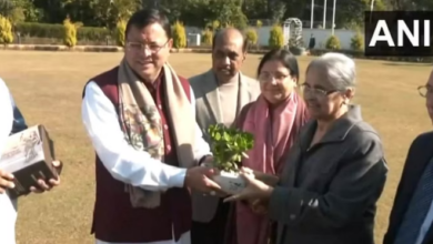 Photo of विशेषज्ञ समिति ने सीएम धामी को सौंपी मसौदा रिपोर्ट