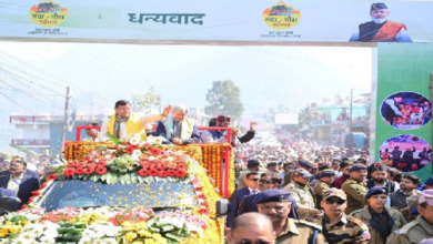 Photo of नंदा गौरा महोत्सव में शामिल हुए सीएम धामी