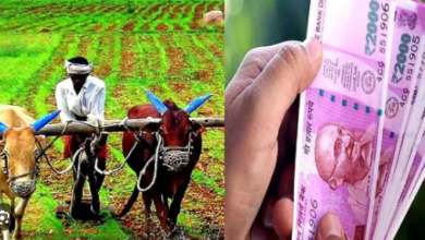 Photo of पीएम किसान योजना: इस दिन अकाउंट में आ रही है पीएम किसान योजना की 16वीं किस्त
