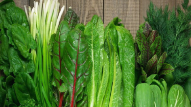 Photo of पत्ते वाली हरी सब्जियों को खाने के हैं जबरदस्त फायदे
