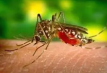 Photo of गर्मी के साथ ही बढ़ने लगा मलेरिया मच्छरों का प्रकोप…