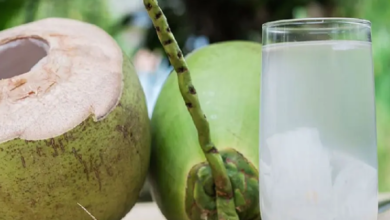 Photo of शरीर में हो रही पानी की कमी, तो पीएं नारियल पानी और जाने अनगिनत फायदे