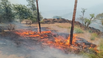 Photo of उत्तराखंड: आबादी तक पहुंची जंगल में लगी आग, ग्रामीणों में मची अफरा-तफरी