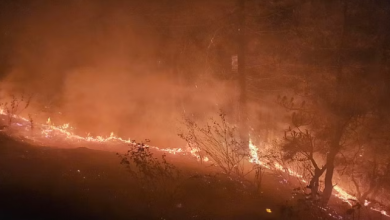 Photo of उत्तराखंड: जंगल की आग के आगे धरे रह गए विभाग के सारे इंतजाम