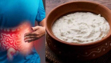 Photo of रोजाना एक कटोरी दही खाने से कम होता है Colon Cancer का खतरा?