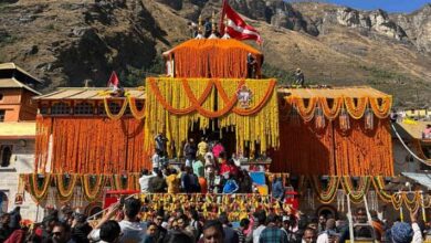 Photo of कालनेमि अभियान; बदरीनाथ धाम में मिले दो संदिग्ध बाबा, जांच, 600 बाबाओं का सत्यापन किया गया