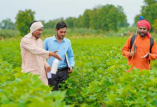 Photo of 3.3 अरब डॉलर के  साथ भारत बना तीसरा सबसे बड़ा कृषि रसायन निर्यातक