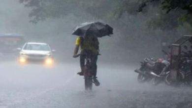 Photo of मध्यप्रदेश में फिर बरसेगा आसमान: अगले 72 घंटे तक बारिश की दस्तक