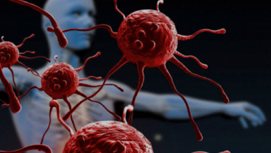 Photo of वैज्ञानिकों ने खोजा कैंसर के इलाज का नया तरीका