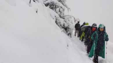 Photo of गंगोत्री नेशनल पार्क: गोमुख-तपोवन की ट्रैकिंग पर लगाई रोक