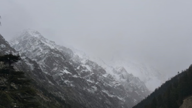 Photo of पहाड़ में बर्फबारी का दून में असर, चार डिग्री गिरा पारा