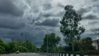 Photo of मध्य प्रदेश में हल्की ठंड का दौर शुरू