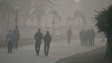 Photo of एमपी में कड़ाके की ठंड, शहडोल 6.9 डिग्री के साथ सबसे ठंडा