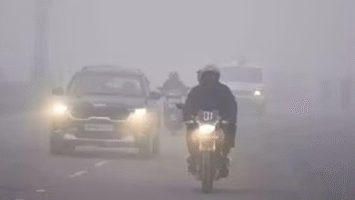 Photo of एमपी में बर्फीली हवाओं के बीच कड़ाके की ठंड ,शीतलहर का अलर्ट