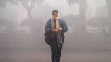 Photo of एमपी में ठंड की मार, 17 जिलों में शीतलहर का अलर्ट