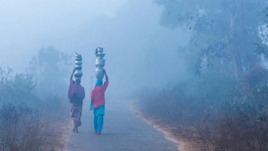 Photo of यूपी समेत इन जिलों में शीतलहर का अलर्ट