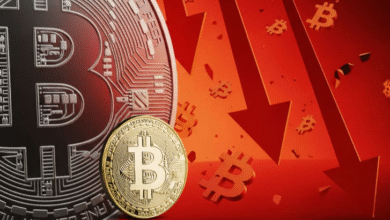 Photo of  बिटकॉइन क्रैश होकर 7 महीने के निचले स्तर पर पहुंची
