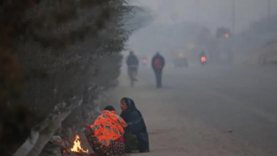 Photo of बिहार में ठंड का कहर, तापमान गिरा, जानें 25 नवंबर को कैसा रहेगा मौसम