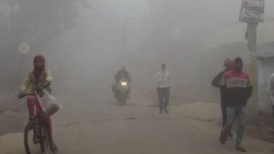 Photo of बिहार के इन 33 जिलों घने कोहरे का अलर्ट, पछुआ हवा ने बढ़ाई ठिठुरन