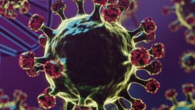 Photo of 2025 में गूगल पर सबसे ज्यादा सर्च किया गया HMPV वायरस