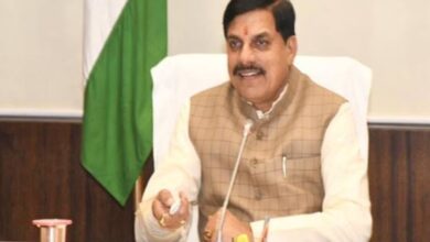 Photo of मुख्यमंत्री डॉ. मोहन यादव आज करेंगे 11वें अंतरराष्ट्रीय हर्बल वन मेले का शुभारंभ