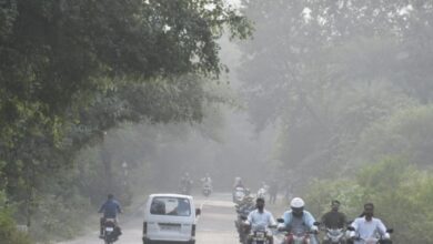 Photo of मध्य प्रदेश में कड़ाके की सर्दी का प्रकोप, पारा 4 डिग्री से नीचे