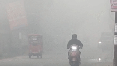 Photo of उत्तर प्रदेश में  हर दिन  बढ़ रही ठंड, कई जिलों में कोहरे की चादर