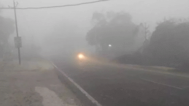 Photo of उत्तराखंड में सर्दी का सितम बढ़ने की आशंका, कोहरे का येलो अलर्ट जारी
